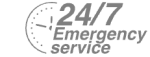 24/7 Emergency Service Pest Control in West Horsley, East Horsley, Effingham, KT24. Call Now! 020 8166 9746