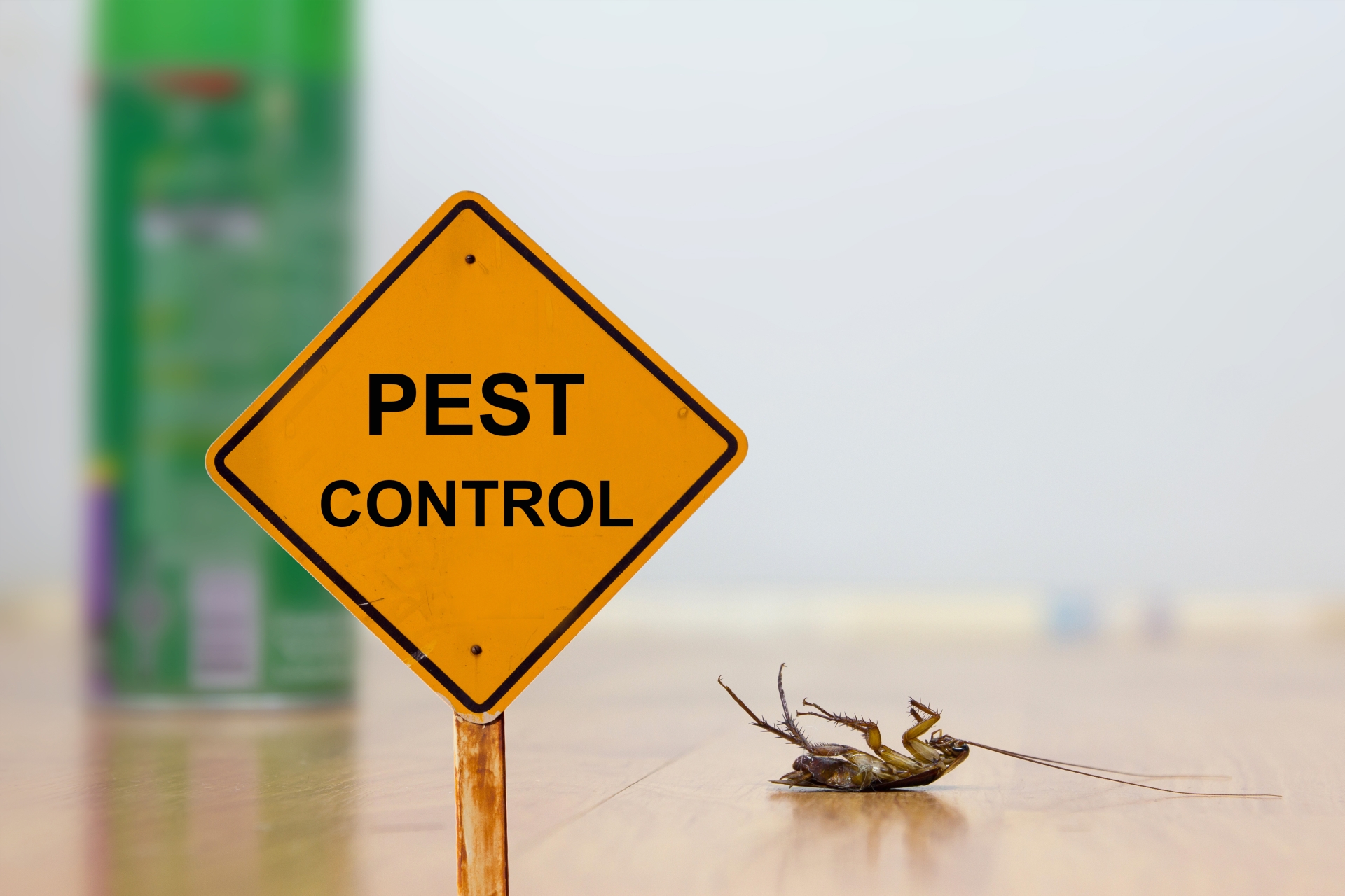 24 Hour Pest Control, Pest Control in West Horsley, East Horsley, Effingham, KT24. Call Now 020 8166 9746